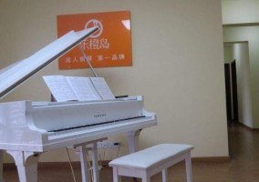 乐橙岛成人钢琴吧