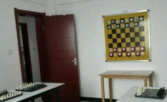 白果树国际象棋俱乐部