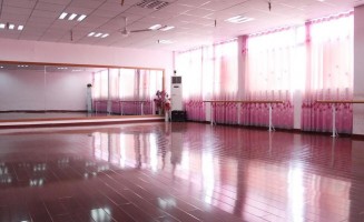 yy空中艺术舞蹈工作室
