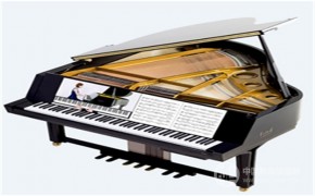 辛巴星钢琴加盟费辛巴星钢琴加盟费多少钱？